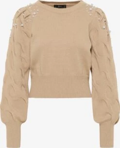 Faina Fijngebreide Truien Trui Dames Donkerbeige